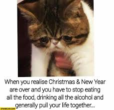 Check spelling or type a new query. When You Realise Christmas And New Year Are Over And You Have To Stop Eating All The Food Drinking Alcohol And Generally Pull Your Life Together Sad Cat Starecat Com
