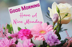On a happy monday morning like this, i'll like to tell you, don't just make wishes rather, carry out actions that are capable of bringing your wishes to pass. Happy Monday Images And Quotes Massages Greetings Sms Photos For Whatsapp