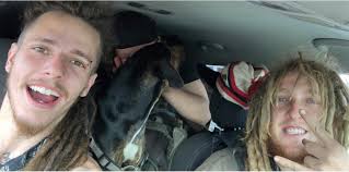 Gray Valentine in his natural habitat. Choo choo? More like honk skiirrttt