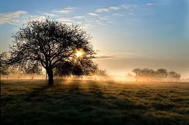 Apple Garden Landscape Photos Apple Garden Landscape Photos Landscape