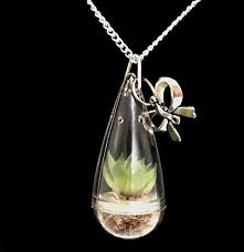 Miniature Lotus Succulent Terrarium Necklace Wearable Succulent Necklace Nature Terrarium Jewelry 18 Inche Terrarium Necklace Terrarium Jewelry Unisex Necklace
