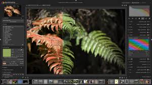Our photo editors share their secrets. The Best Free Photo Editing Apps In 2021 Petapixel