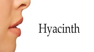 We try to teach you the correct way on how to pronounce the word hyacinth in english. How To Pronounce Hyacinth Youtube