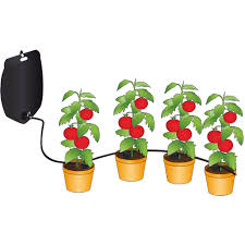 Maybe you would like to learn more about one of these? Arrosage Goutte A Goutte 6 Plantes Ducatillon