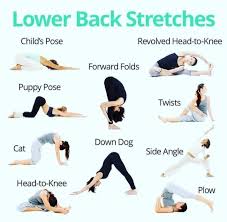 Pin On Back Pain