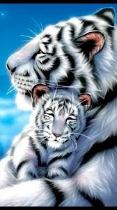 Trop Beaux Animaux Animaux Mignons Animaux Beaux