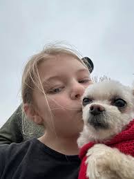 Has anyone seen a lost dog in Herrin, IL?