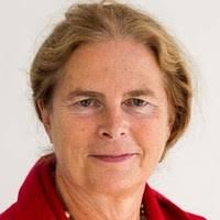 PDF) Exploring Exposure in 27 Countries in a European Human Biomonitoring  Study—Cophes