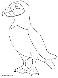 Atlantic puffin, horned puffin, and tufted puffin. Puffin Coloring Pages Coloring Home