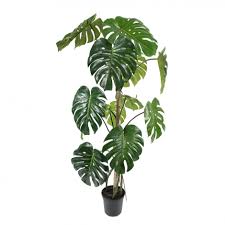 Round frame made of beautiful colorful orchid flowers and mostera leaves. Kunstgewachs Monstera Dpj Workspace