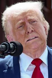 Mike Chesser (@mike_seq)