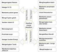 Kunci Jawaban Tema 9 Kelas 4 Subtema 1 Hal 16 20 Manfaat Energi Matahari Bagi Hewan Dan Alam Halaman All Tribunnewsmaker Com