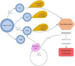 A cantora e compositora lanna rizzi morreu ontem, aos 26 anos; Interleukin 23p19 Inhibitors In Chronic Plaque Psoriasis With Focus On Mirikizumab A Narrative Review Salimi 2020 Dermatologic Therapy Wiley Online Library