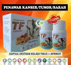 464 likes · 1 talking about this. Keladi Tikus Tf Rawatan Alternatif Merawat Kanser Facebook