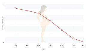 For many women, in vitro fertilization (ivf) will likely not be their first treatment option. Age And Fertility Pregnancy Info