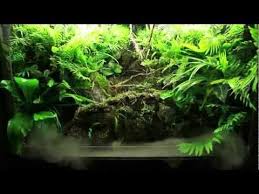Waterfall Paludarium Hd 1080p Vivarium Planted Aquarium Fish Tank