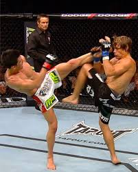 Ufc Ufc 249 The Rivalry Continues Dominick Cruz Vs Urijah Faber 2 Facebook