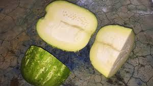 Image result for Lagenaria siceraria