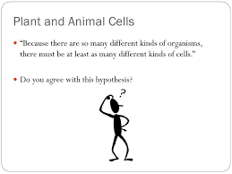 Maybe you would like to learn more about one of these? How Are Plant And Animal Cells The Same And How Are They Different Ppt Download