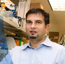 ANNUAL REPORT 2012-2013