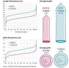 Good News Biggest Study Yet Of Penis Size Confirms Average Size