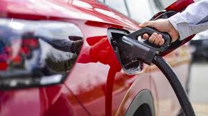 Hammy tv of porn i have met this escort a couple of times