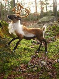 Sarafina Fiber Art Felt Art Felt Animals Needle Felted Animals