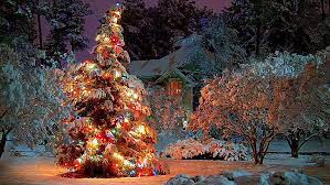 Description turn your garden into a secret magical place with snow fall lights! Hd Wallpaper Snow Christmas Day Christmas Eve Snowy Night Christmas Lights Wallpaper Flare