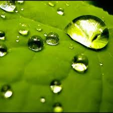 أضف اقتباس من قطرات الندى للأشعار والخواطر مكتبتي المؤلف: Ù…Ø¤Ø³Ø³Ø© Ù‚Ø·Ø±Ø§Øª Ø§Ù„Ù†Ø¯Ù‰ Home Facebook