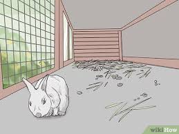 Anda bisa tanyakan langsung kepada penjual tentang kehalalan masakan yang disajikan. 3 Cara Untuk Membersihkan Kandang Kelinci Wikihow