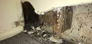 Best pest control company in brisbane. Pest Control Brisbane Northside All Corners Carpet Cleaning Pest Control