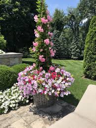 Dirt Simple Gardening And Landscape Blog By Deborah Silver Part 3 Container Plants Plants Flower Landscape
