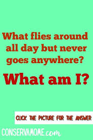 Buzzfeed staff the more wrong answers. Pin On Paparazzi Riddles