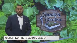 Planting perennial herbs such as mint, thyme, oregano, sage, chives, lemon balm, lavender, and rosemary in september allows the plants to develop a good root system while avoiding heat stress. Planting Tips And Ideas For A Fall Garden Wltx Com