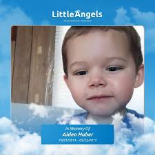 Life Saver Pool Fence