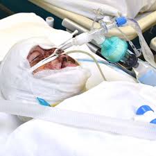 2 лежнева валерия васильевна 275 баллов D807qq0mger4ym