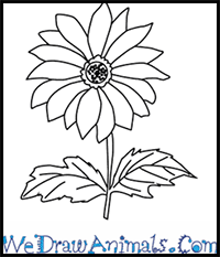 This is too much to deal with when starting to draw. How To Draw Flowers Drawing Tutorials Drawing How To Draw Flowers Blossoms Petals Drawing Lessons Step By Step Techniques For Cartoons Illustrations