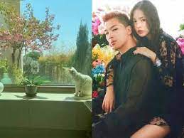 Min hyo rin shared her thoughts about dating an idol, and thanked her boyfriend, bigbang's taeyang, for always being there for. Bigbang S Taeyang Showed Off Their Wedding House Knet Wants Min Hyorin To Come Back Lovekpop95