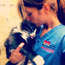 They are a team of people who care not only about the well being of your pets, but also the pet parents! Bay Area Pet Hospitals 24 Hours Veterinary Hospital In Traverse City Michigan