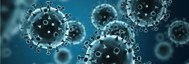 This test can be used for both general testing and international travel, where a fit to fly certificate is required. Preparing For A Pandemic Connected