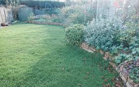 Check spelling or type a new query. 7 Simple Ways To Improve Your Garden This Autumn The Reading Residence