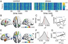 Interdisciplinary research at HKBU reveals stress related ...