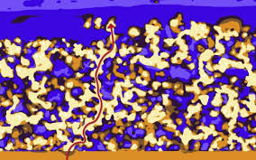In electrochemistry, positive and negative electrodes (anodes and cathodes) are placed in an electrolyte solution. Ornl Team Develops 3d Interconnected Polymer Ceramic Composite As A Thin Film Solid Electrolyte Green Car Congress