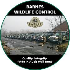 For its bed bug treatments, protect pest control uses. Wildlife Removal Damage Repairs Barnes Wildlife Control Dayton Oh