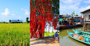 All selangor hotels selangor hotel deals last minute hotels in selangor by hotel type. 8 Stress Free Things To Do In Sekinchan During The Holidays