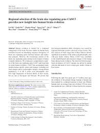 Convert 1 romanian leu to euro. Pdf Regional Selection Of The Brain Size Regulating Gene Casc5 Provides New Insight Into Human Brain Evolution