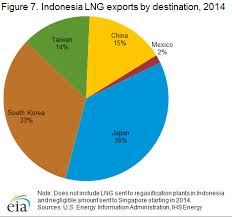 Indonesia International Analysis U S Energy