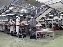 Fiecare angajat este muncitor necalificat la procesele din cadrul uzinei. Doly Com CautÄ Trei Ingineri Btbd Ro