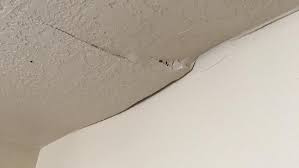 Ceiling cracks can be a sign of serious structural damage, but often aren't. Woman Claims She Warned Apartment Managers Multiple Times Before Ceiling Collapsed On Her Kutv