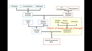 cardiac control lessons tes teach